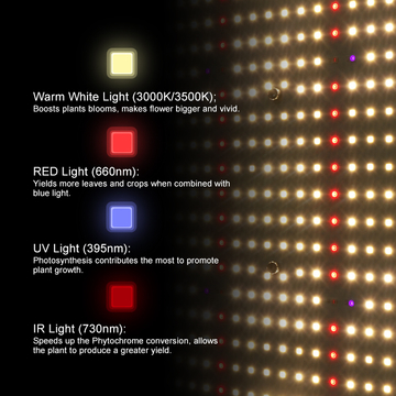 EU Stock! Kingbrite 240W Samsung LM301H 3500K+Epistar 660nm UV IR LED Grow Light