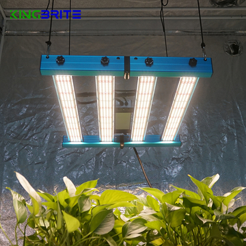 Free Tax to EU, KingBrite 240W LED grow lights 4 Bar Samsung LM301H/LM281B+Epistar 660 UV IR led grow light bar