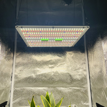 No Tax to EU! KingBrite 150W Led Grow Light With UV IR Samsung LM301H EVO Led Lamp, Separate switches for UV/IR Channels